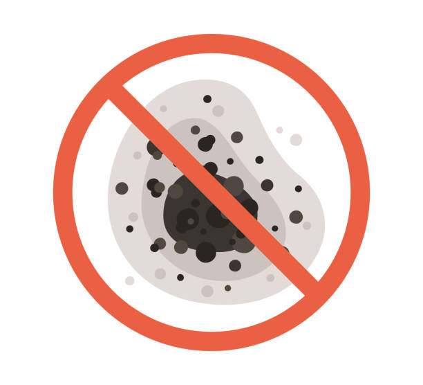 Reamstown, PA Mold Removal Company