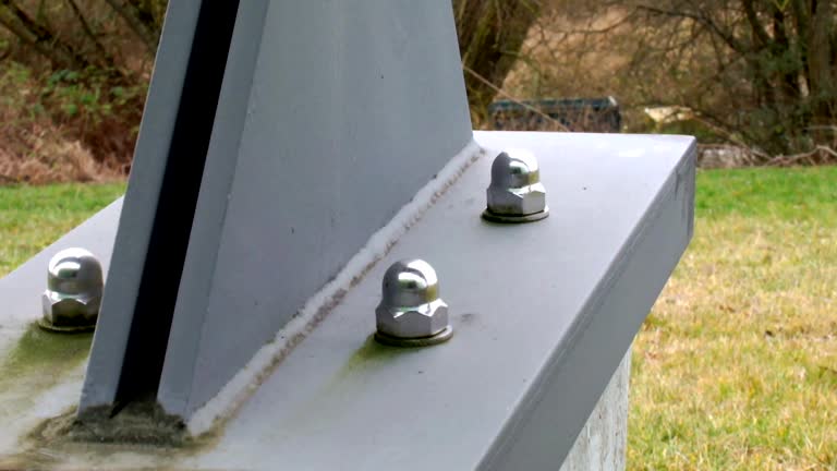 Mold Documentation for Insurance Claims in Reamstown, PA